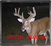 Trailcam
